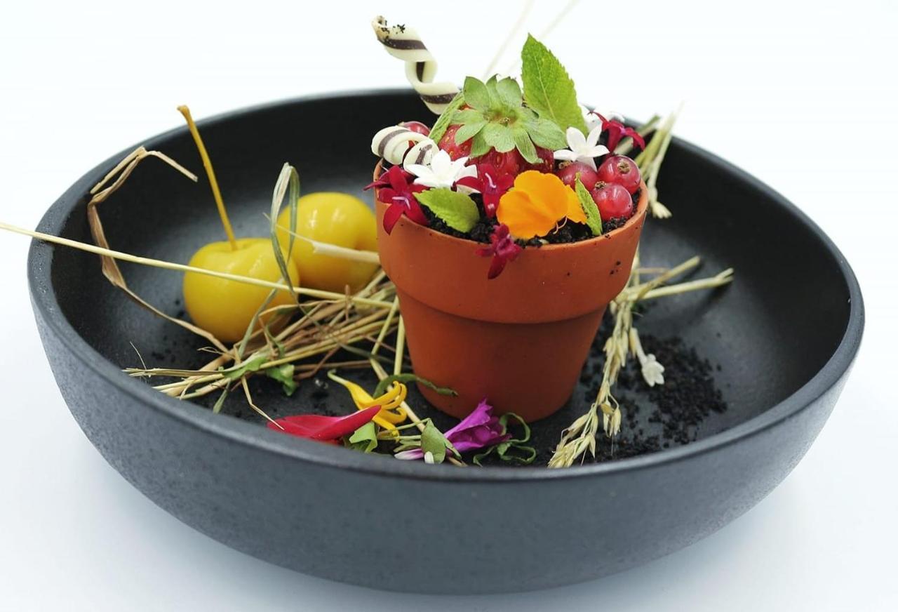 Logis Hotel Restaurant Le Clos Fleuri كاستيلنوداري المظهر الخارجي الصورة